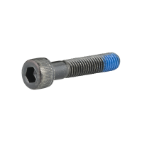 Trek M8x1.25 Socket Head Cap Screw