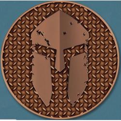 BattlBox - Bronze Challenge Coin