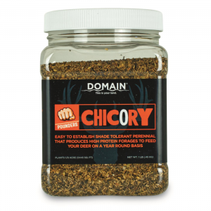 Domain Pounder Chicory Food Plot Seed 1 lb.