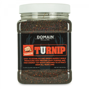 Domain Pounder Turnip Food Plot Seed 1 lb.