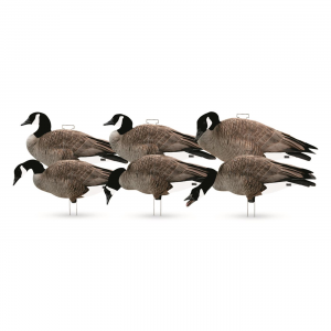 Avery GHG Pro-Grade Flocked Head Canada Goose Silhouette Decoys 6 Piece Set