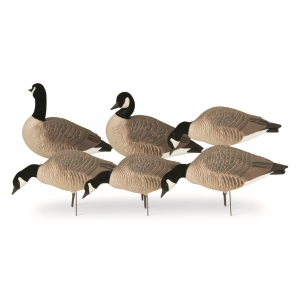 Avery GHG Hunter Series Canada Harvester Decoys 6 Pieces