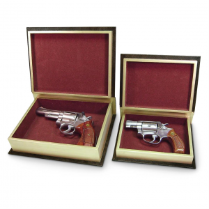 Personal Security Products Diversion Books Gun Safe 2 Pack