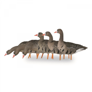Avian-X AXF Specklebelly Fusion Pack Flocked Decoys 6 Pack