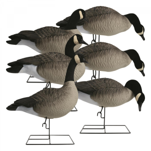Hardcore Rugged Series Full Body Canada Goose Decoys with Flocked Heads 6 Pack
