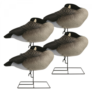 Hardcore Rugged Series Full Body Canada Goose Sleeper Decoys with Flocked Heads 4 Pack