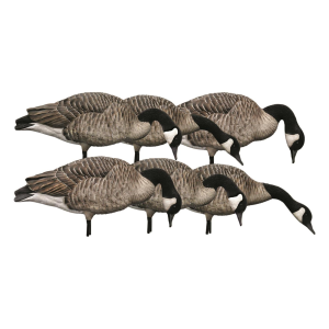 Avian X Avian-X AXP Honkers Feeder Pack Goose Decoys - $299.99 at Sportsman's Guide
