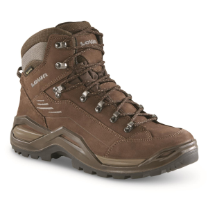 LOWA Men's RENEGADE EVO Mid GTX Hiking Boot