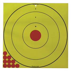 Birchwood Casey Long Range Bullseye Targets 20 Pack