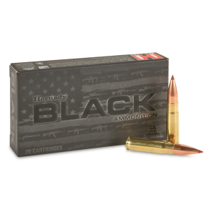 nady Black 300 BLK NTX 110 Grain 20 Rounds Ammo