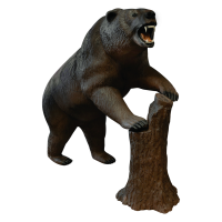 Delta McKenzie Grizzly Bear X-Ray Series 3D Target