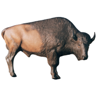 McKenzie HD Bison Target Midsection Only