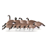 Avery GHG Pro-Grade Lesser Canada Goose Harvester Decoys 12 Pack