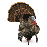 Avian-X HDR Strutter Turkey Decoy