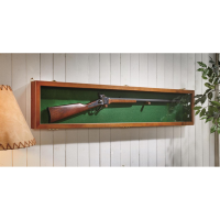 CASTLECREEK Gun Display Case