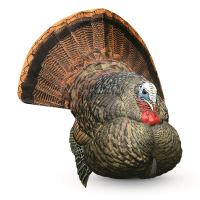 Avian-X LCD Strutter Turkey Decoy