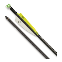 TenPoint EVO-X Lighted Alpha-Blaze CenterPunch Premium Carbon Crossbow Arrows 3 Pack