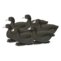 Avery GHG Hunter Series Oversized Coot Decoys 6 Pack