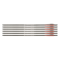 Umarex AirSaber Arrows 6 Pack