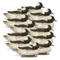 Higdon Standard Bufflehead Duck Decoys 12 Pack