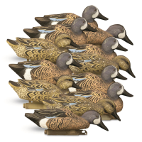 Higdon Standard Blue Wing Teal Duck Decoys 12 Pack