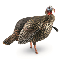 Avian-X(R) HDR Jake Turkey Decoy