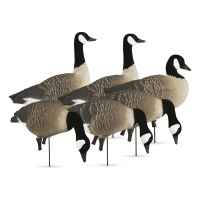 Higdon Apex Full-size Full-Body Canada Goose Decoys 6 Pieces