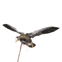 Higdon Clone Specklebelly Motion decoy