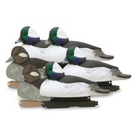 Avery GHG Hunter Series Oversized Bufflehead Decoys 6 Pack