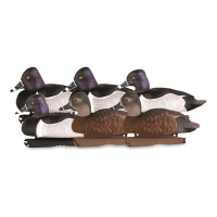 Avery GHG Pro-Grade Foam Filled Ring-Necked Duck Decoys 6 Pack