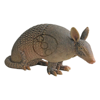 BIGshot Archery Real Wild Armadillo 3D Target