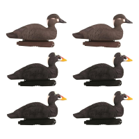 Avery GHG Pro-Grade Surf Scoter Duck Decoys 6 Pack