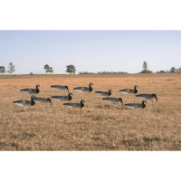 Avery GHG Pro-Grade Canada Goose Sock Decoys Painted Heads 12 Pack