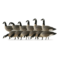 Avian-X AXP Lesser Goose Decoys Outfitter Pack 12 Piece