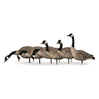 Avian-X AXP Honkers Fusion Pack Full Body Goose Decoys 6 Pack