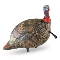 Avian-X LCD Quarter-Strut Jake Turkey Decoy