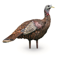 Avian-X LCD Lookout Hen Turkey Decoy