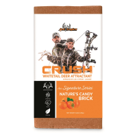 Ani-Logics Crush Nature's Candy Brick