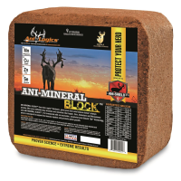 Ani-Logics Ani-Mineral Block 20 lb.