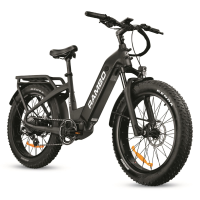 Rambo Savage 2.0 750W E-Bike Matte Black