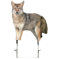 Montana Decoy Song Dog Coyote Decoy