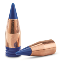 CVA PowerBelt AeroTip ELR .45 cal. Bullets 15 Pack
