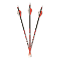 Carbon Express Maxima Red Fletched Arrows 6 Pack