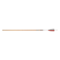 Easton Carbon Legacy Arrows 6 Pack