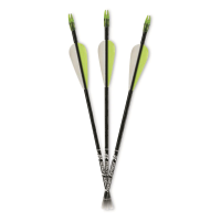 Carbon Express Thunder Express 26" Arrows 3 Pack