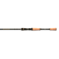 Shimano Intenza A Casting Rods