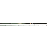 Daiwa TD Eye Trolling Rods