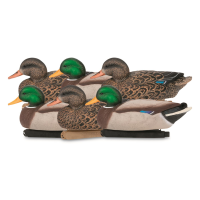 Zink Hunter Series Mallard Duck Decoys 6 pack