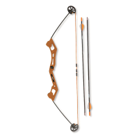 Bear Archery Valiant Youth Compound Bow Set 16.5-lb. Draw Weight Right Hand