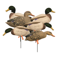 Higdon Magnum Full Body Mallard Duck Decoys Flocked Heads 6 Pack